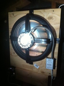 photo (6)